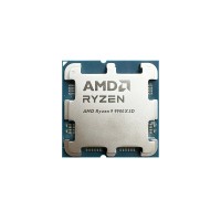 AMD Ryzen 9 9900X3D