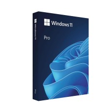 Microsoft Windows 11 Pro