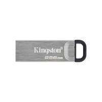 Kingston 256GB (DTKN/256GB)