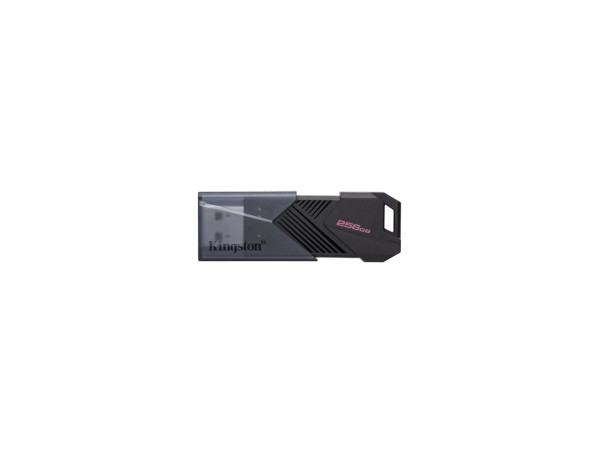 Kingston 256GB (DTXON/256GB)