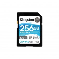 Kingston 256GB (SDG3/256GB)