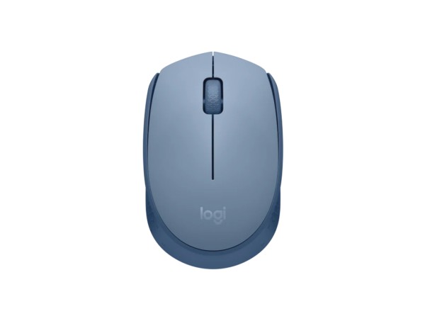 Logitech M171