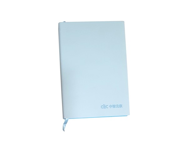Notebook CiiC
