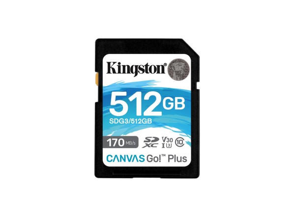 Kingston 512GB (SDG3/512GB)