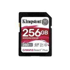 Kingston 256GB (SDR2V6/256GB)