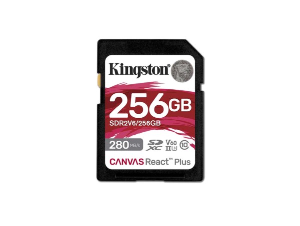 Kingston 256GB (SDR2V6/256GB)