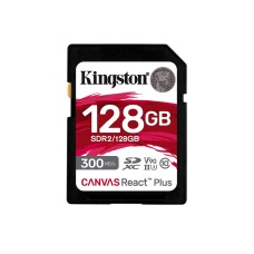 Kingston 128GB (SDR2/128GB)