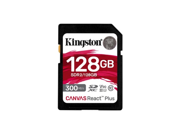 Kingston 128GB (SDR2/128GB)