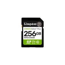 Kingston 256GB (SDS3/256GB)